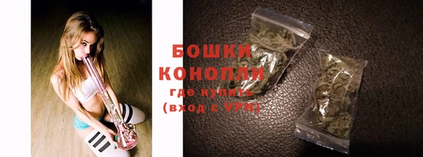 молекула духа Богородицк