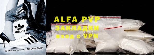 молекула духа Богородицк
