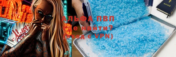 молекула духа Богородицк
