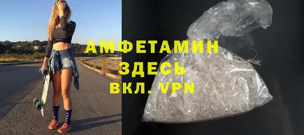 молекула духа Богородицк