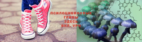 прущая мука Богородск
