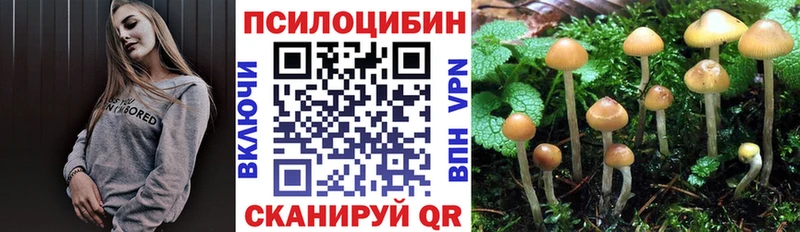 цена   Белозерск  Галлюциногенные грибы GOLDEN TEACHER 